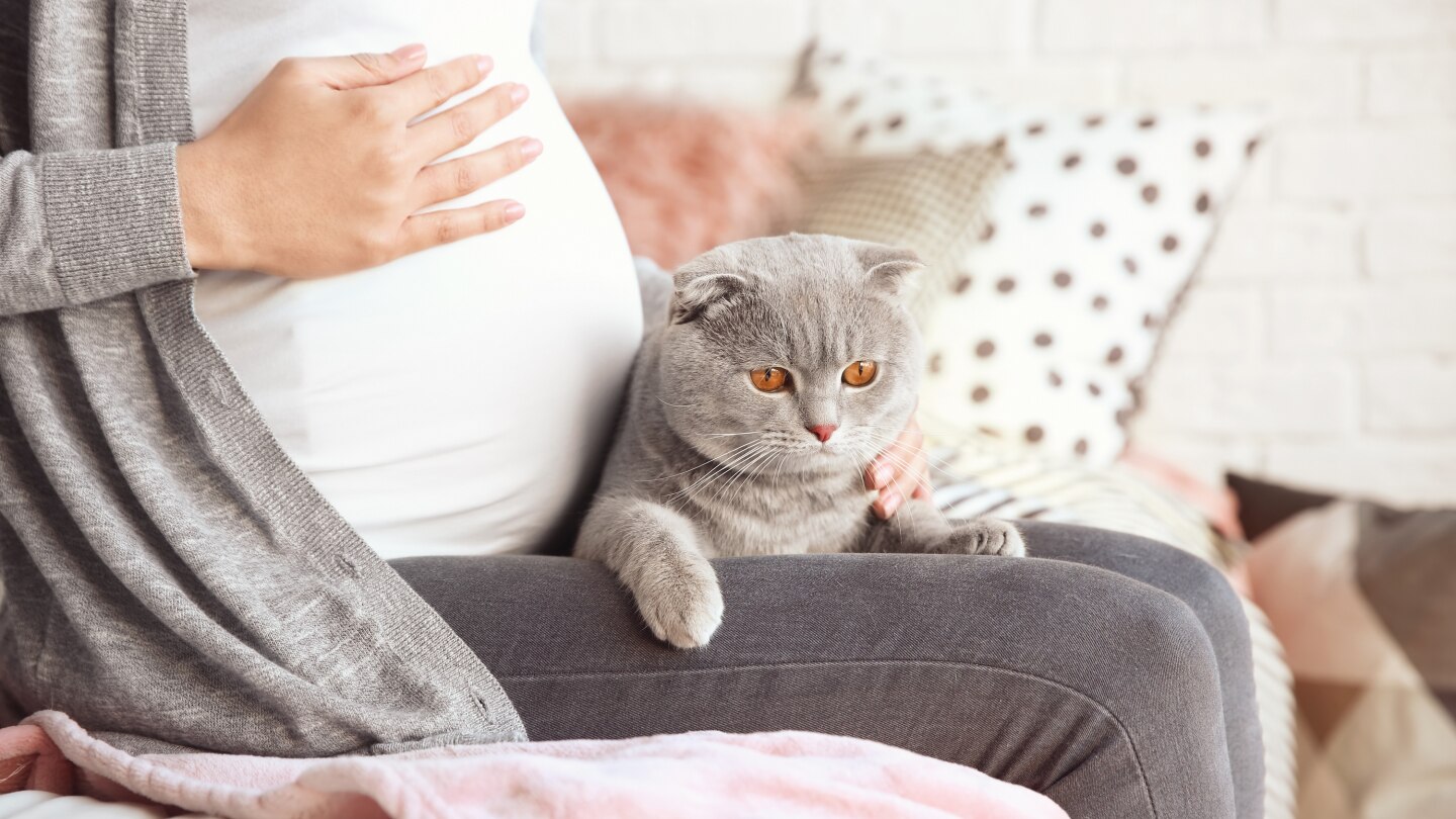 Schwangere mit Katze