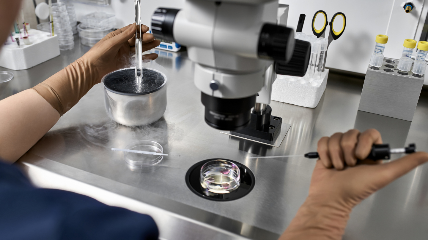Process of in vitro fertilization in laboratory